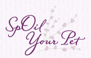 Monthly Membership