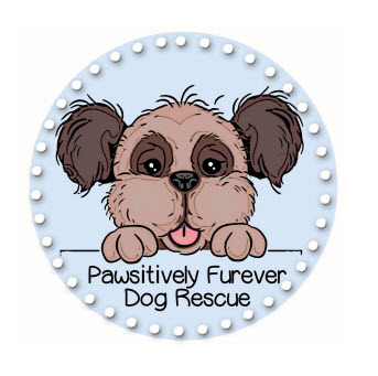 Pawsitively_Furever_Logo_1